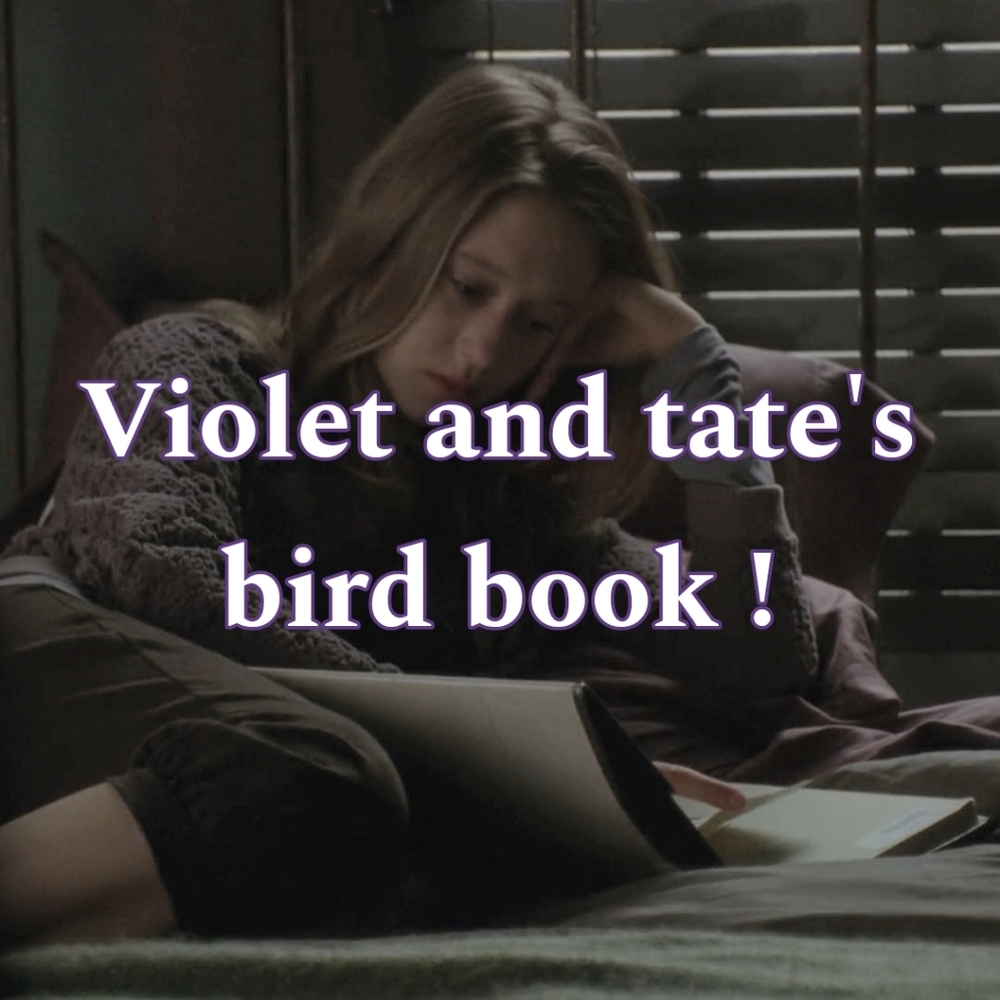 [SOLD] Book ASO AHS Violet Harmon Tate Langdon